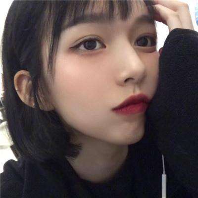 小动物之星亚服下载