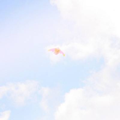 果盘版狠西游手游下载